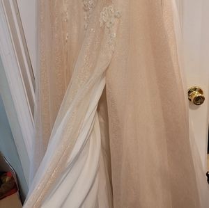 Aline Wedding Dress and Champagne Veil